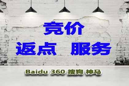探索百度竞价代运营公司的成功之路